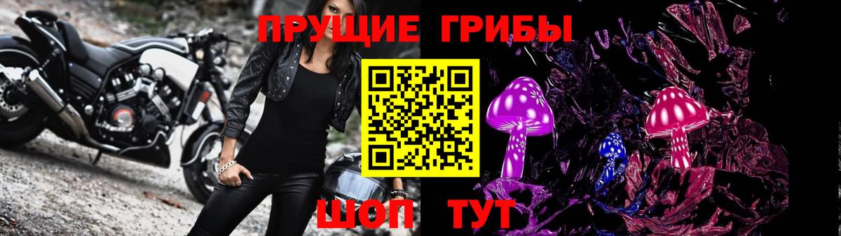 даркнет сайт  Галлюциногенные грибы Magic Shrooms  Вход с VPN  Нарткала 